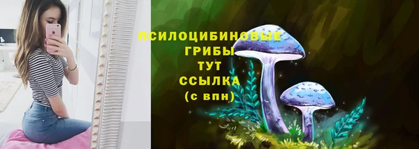 прущий лед Аркадак