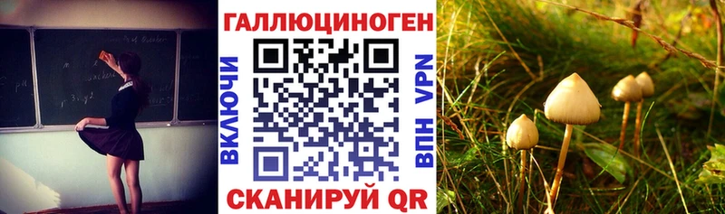 OMG маркетплейс  где продают наркотики  Володарск  Псилоцибиновые грибы Cubensis 